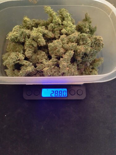 Growreport Bild 8