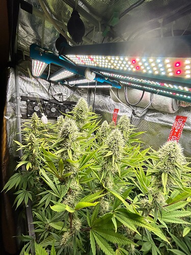 Growreport Bild 12