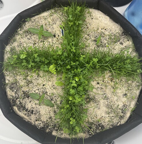 Growreport Bild 19