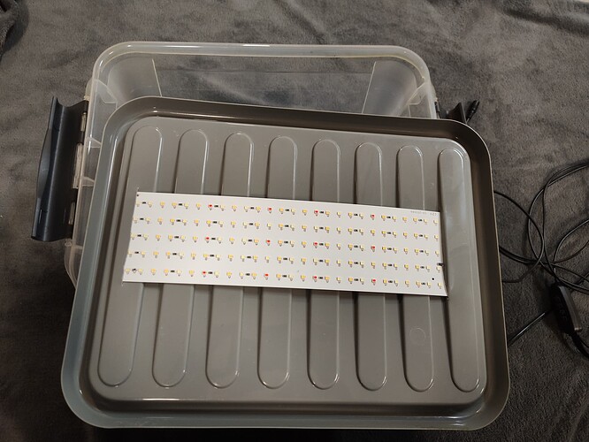 IMG_20251022_214452156