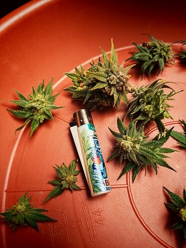 Growreport Bild 15