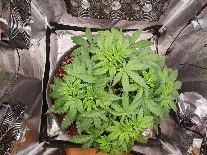 Tag 29 -2026-03-05-214446_003