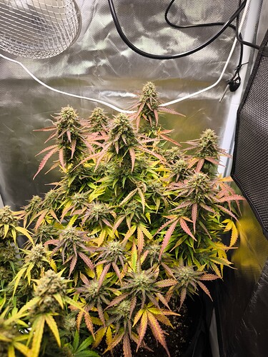 Growreport Bild 5