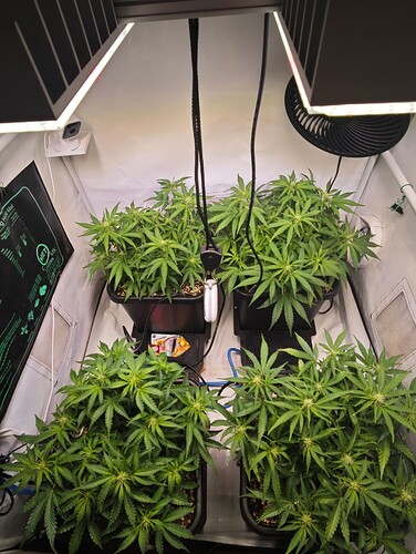 MVIMG_20251019_223227