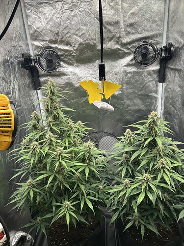 Growreport Bild 7
