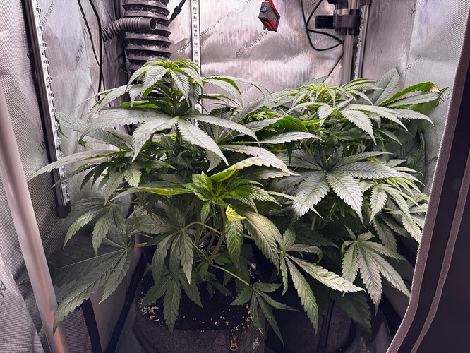 Growreport Bild 2