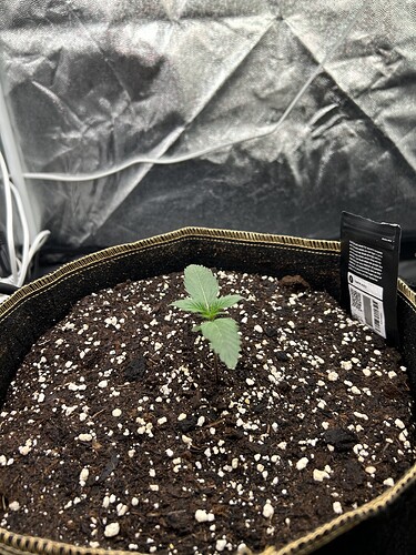 Growreport Bild 2