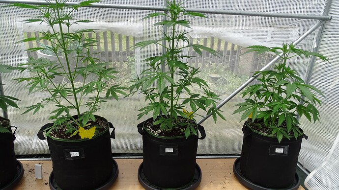 Growreport Bild 1
