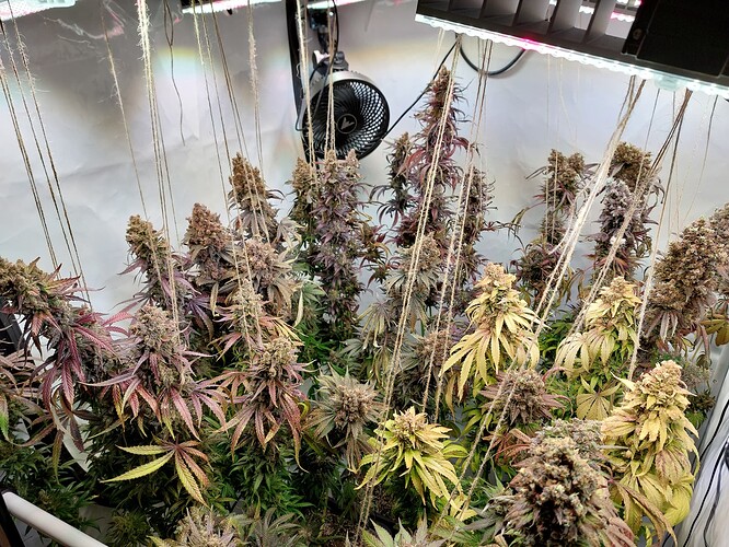 Growreport Bild 7
