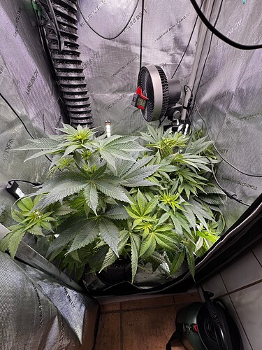 Growreport Bild 3