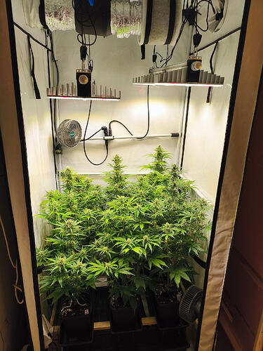 Growreport Bild 9