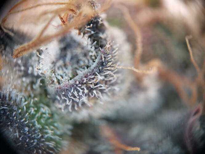 Growreport Bild 12