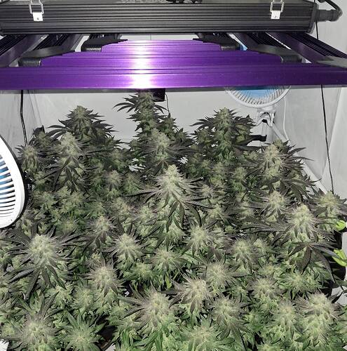 480536859_122168870246293599_7287470566125041883_n