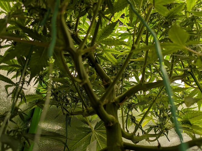 Growreport Bild 21