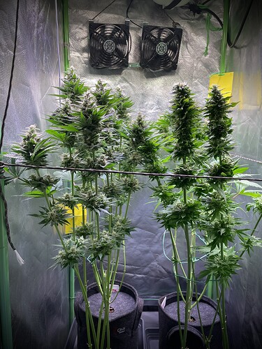 Growreport Bild 1