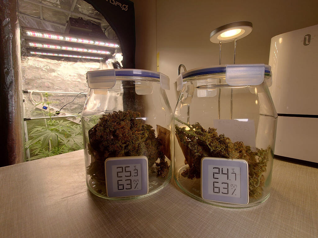 Ruhr-Pot meets Artificial Intelligence in 2 Micro-Growboxen [beendet]