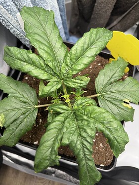 Growreport Bild 22