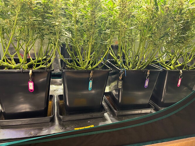 Growreport Bild 17