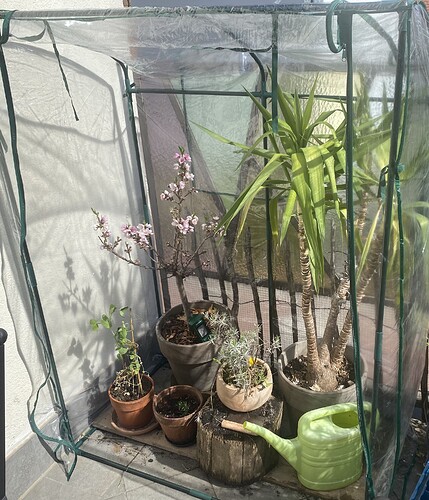 Growreport Bild 5