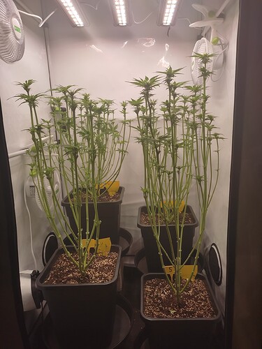 Growreport Bild 21