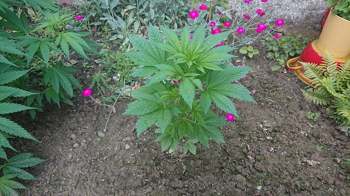 Growreport Bild 19