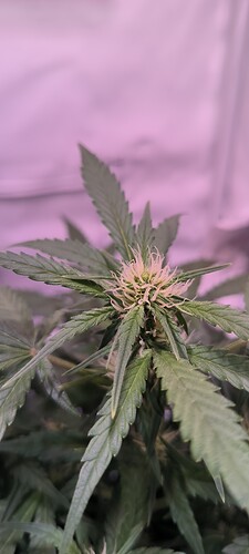 Growreport Bild 20
