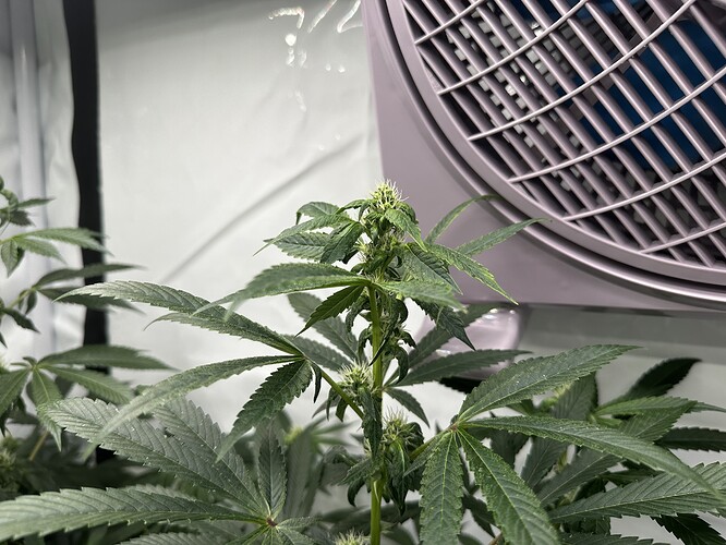 Growreport Bild 9