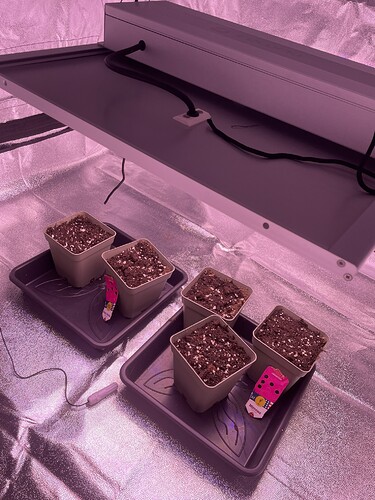Growreport Bild 1