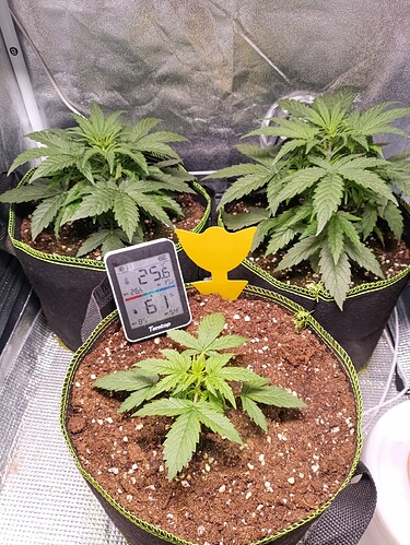 Growreport Bild 2