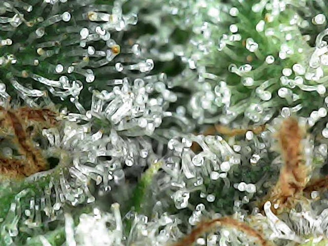 Photo_2025-04-21 12_46_48_752