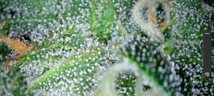 Screenshot_20240723_195322_Gallery