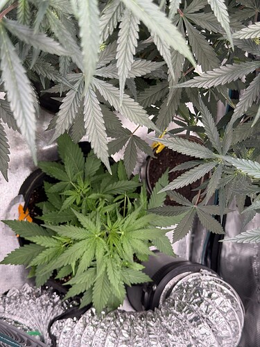 Growreport Bild 11