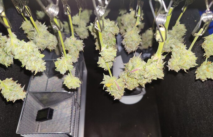 Growreport Bild 7