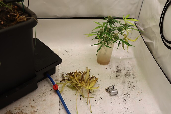 Growreport Bild 4