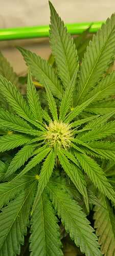 Growreport Bild 12