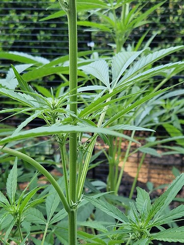 Growreport Bild 3