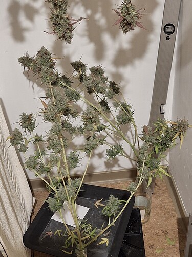 Growreport Bild 14