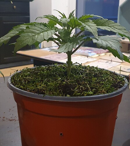 Growreport Bild 12