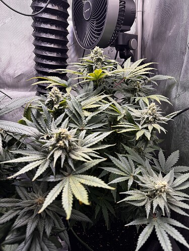 Growreport Bild 4
