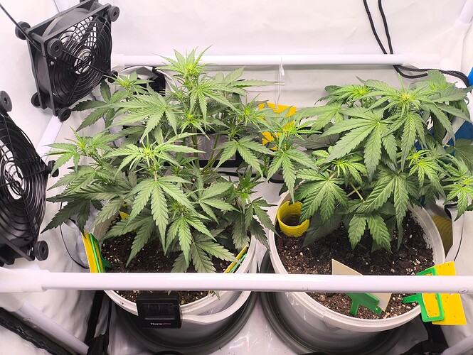 Growreport Bild 8