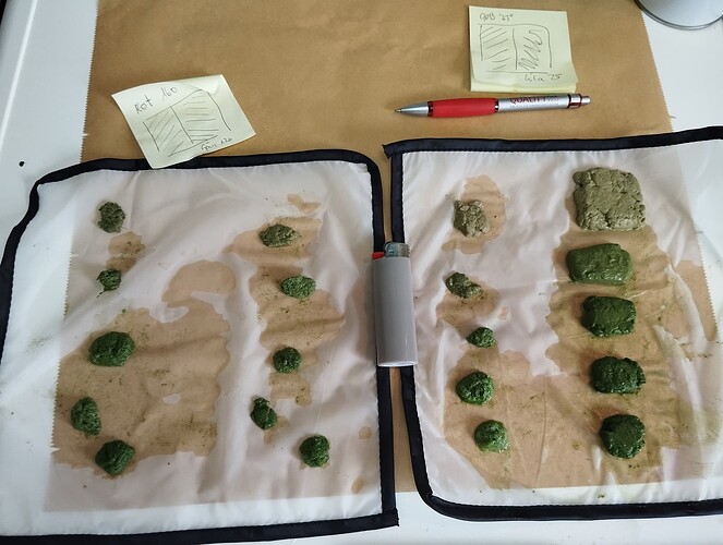 Growreport Bild 4