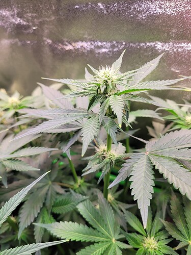 Growreport Bild 18