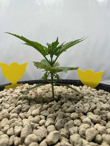 20240424_150014701_iOS