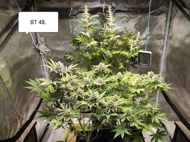 Growreport Bild 8