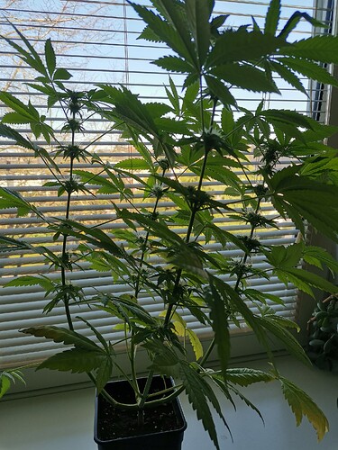 Growreport Bild 10