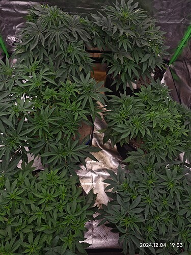 Growreport Bild 5