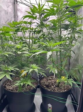 Growreport Bild 10