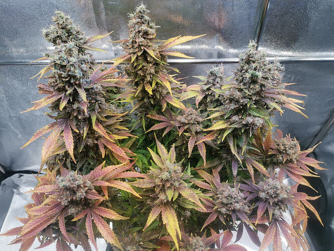 Growreport Bild 18