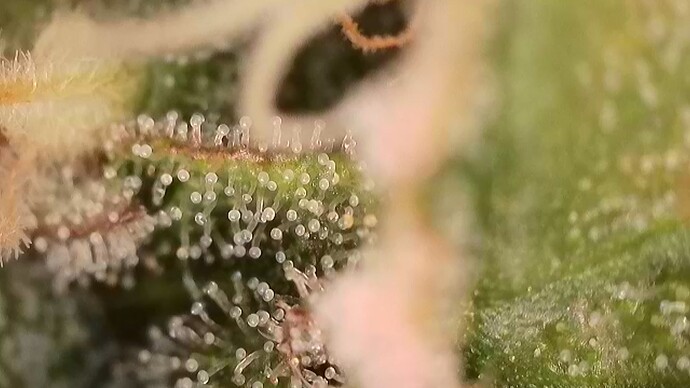 2025-10-22-075510816