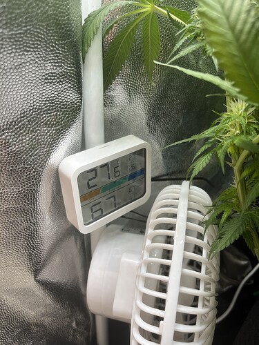 Growreport Bild 10